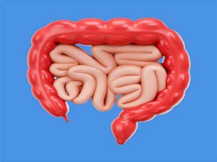 Intestinal Pseudo-Obstruction and Its Role in Transplant Candidacy