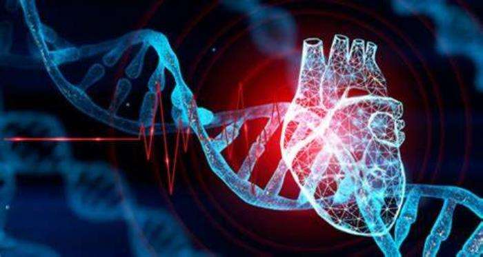 The Importance of Genetic Profiling in Heart Transplantation