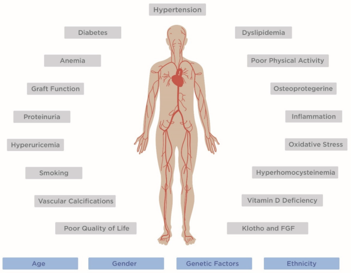 Identifying and Managing Heart Disease in Kidney Transplant Patients