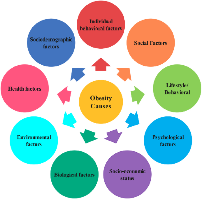 Current Research Trends on Obesity and Kidney Transplant Success