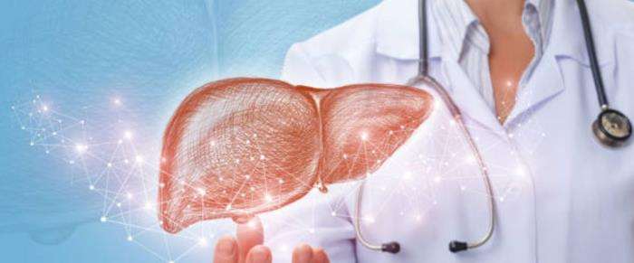 Defining Deceased-Donor Liver Transplantation