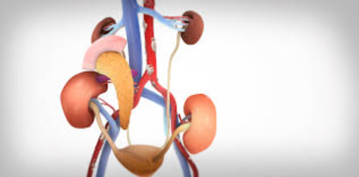 Simultaneous Kidney and Pancreas Transplant: Who Needs It?