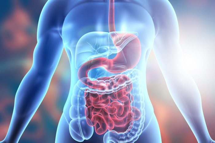 Gastrointestinal Complications After Pancreas Transplantation