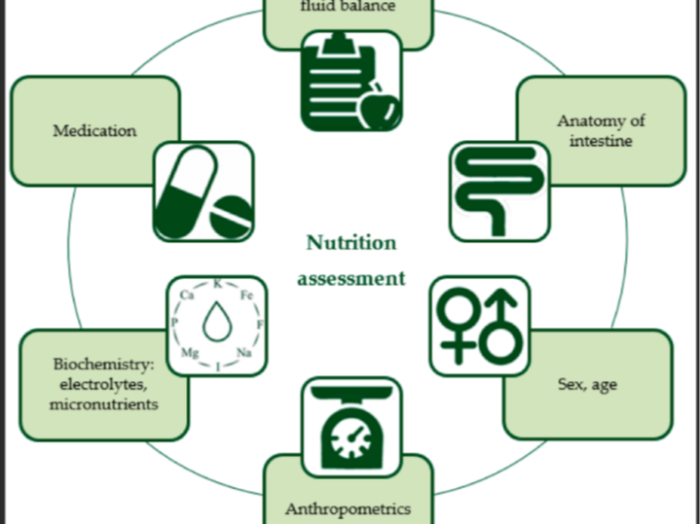 The Role of Nutritional Support in Intestinal Failure Management