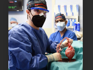 Heart Transplant work in India